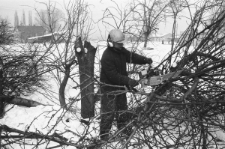 Skan negatywu, sygnatura 3038