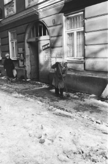 Skan negatywu, sygnatura 3053