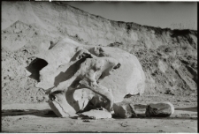 Skan Negatywu, 1 - 29 Czaszka mamuta znaleziona w kopalni piasku w Kijanach