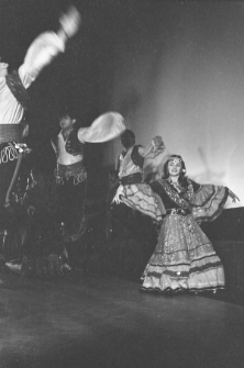 Skan negatywu, sygnatura 5