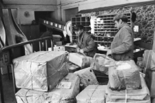 Skan negatywu, sygnatura 5