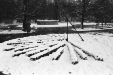 Skan negatywu, sygnatura 6