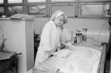 Skan negatywu, sygnatura 7