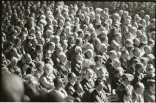 Skan Negatywu, Sygnatura 31544