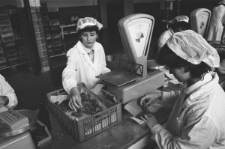 Skan Negatywu, Sygantura 3076