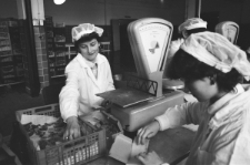 Skan Negatywu, Sygantura 3076