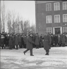 Skan negatywu, Sygnatura 2501