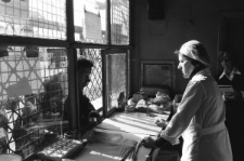 Skan Negatywu, Sygnatura 31641