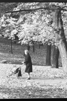 Skan Negatywu, Sygnatura 31641