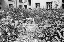 Skan Negatywu, Sygantura 3291