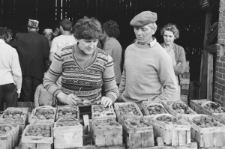 Skan Negatywu, Sygantura 3322