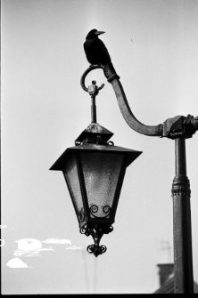 Skan negatywu, sygnatura 124