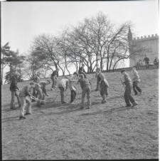 Skan Negatywu, 1 - 12 Porządki
