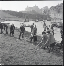 Skan Negatywu, 1 - 12 Porządki
