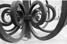 Skan negatywu, sygnatura 132