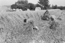 Skan negatywu, sygnatura 2861