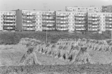 Skan negatywu, sygnatura 2861