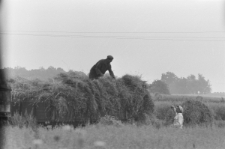 Skan negatywu, sygnatura 2861