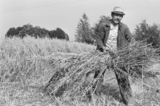 Skan negatywu, sygnatura 2861