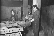 Skan negatywu, sygnatura 836