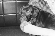 Skan negatywu, sygnatura 861