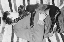 Skan negatywu, sygnatura 866