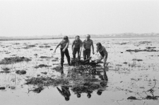 Skan negatywu, sygnatura 31514