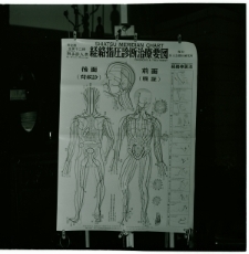 Skan Negatywu, Sygnatura 330