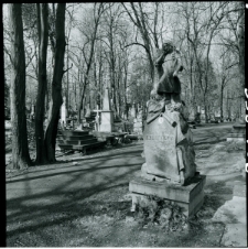 Skan Negatywu, Sygnatura 339