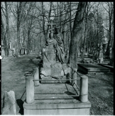 Skan Negatywu, Sygnatura 339