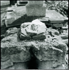 Skan Negatywu, Sygnatura 340