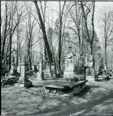 Skan Negatywu, Sygnatura 340