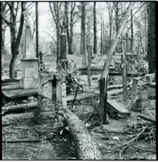 Skan Negatywu, Sygnatura 340