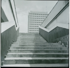 Skan Negatywu, Sygnatura 417