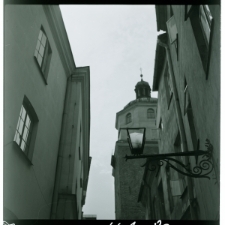 Skan Negatywu, Sygnatura 441