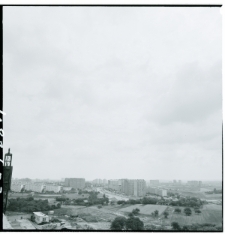 Skan Negatywu, Sygnatura 482