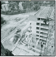 Skan Negatywu, Sygnatura 482