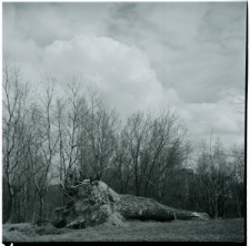 Skan Negatywu, Sygnatura 543