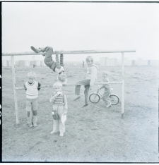 Skan Negatywu, Sygnatura 610