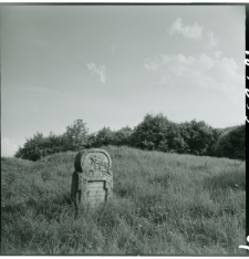 Skan Negatywu, Sygnatura 668