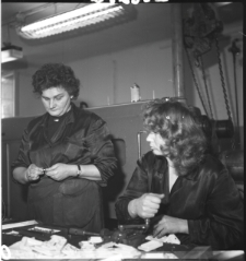 Skan Negatywu, Sygnatura 2352