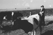 Skan negatywu, sygnatura 2147