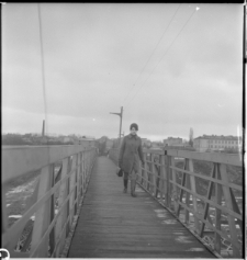 Skan Negatywu, Sygnatura 2391