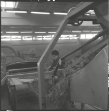 Skan negatywu, sygnatura 2368