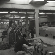 Skan Negatywu, Sygnatura 23669