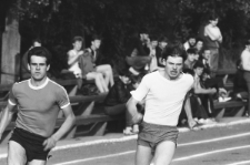 Skan negatywu, sygnatura 1744