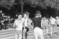 Skan negatywu, sygnatura 1744