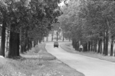 Skan negatywu, sygnatura 1762