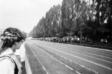 Skan negatywu, sygnatura 1801