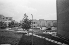 Skan negatywu, sygnatura 1822